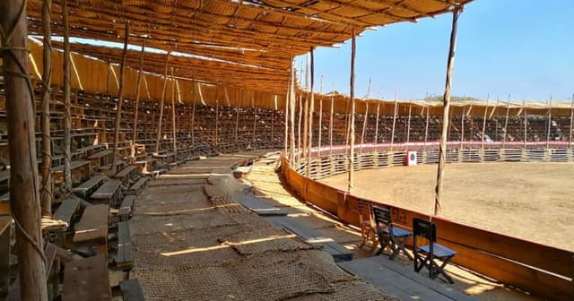 ¿Sabías que la artesanía más grande del mundo es mexicana y está en Colima?