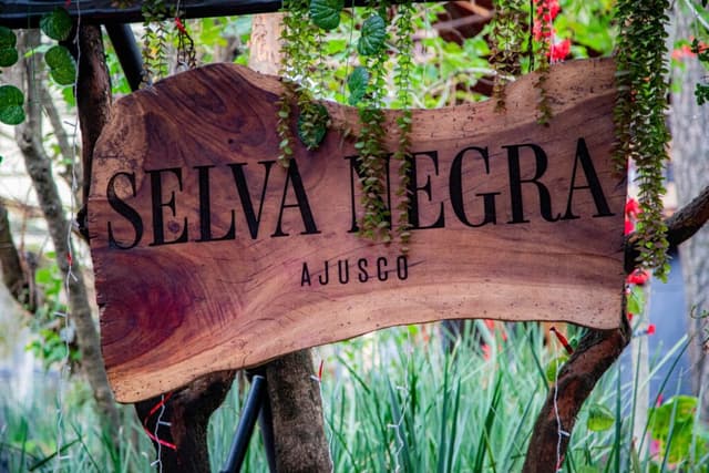 Selva Negra, la pizzería escondida en las faldas de un volcán de la CDMX