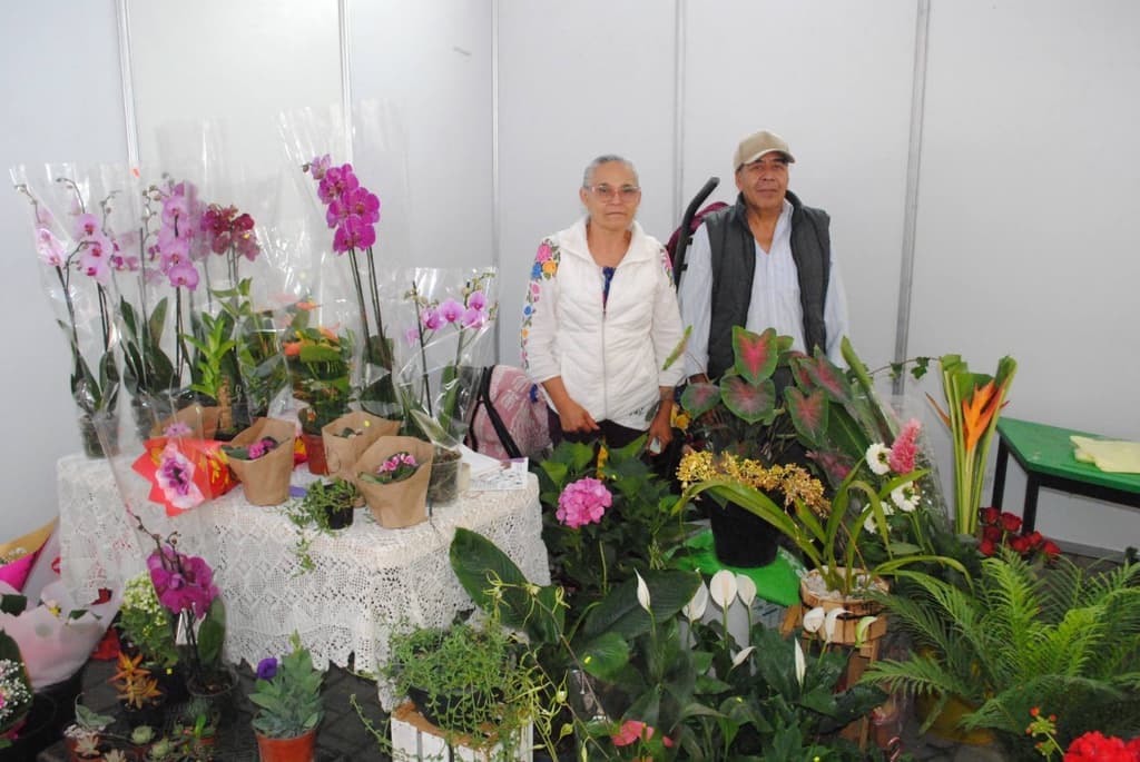 ¿Sin plan? Lánzate al Festival de las Flores 2026 en Tenancingo: habrá música, comida y más