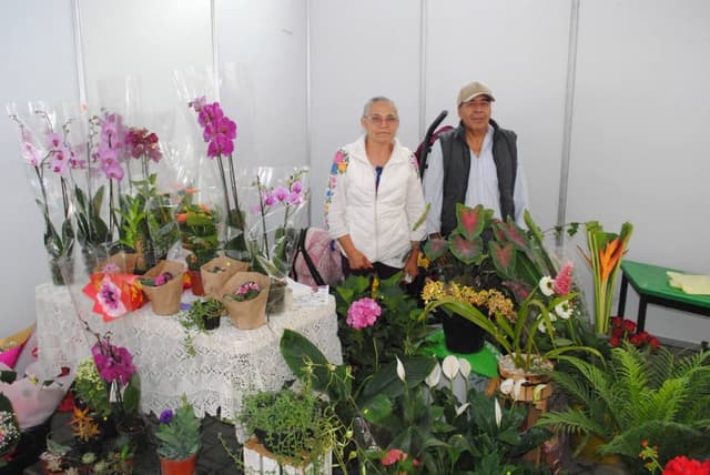 ¿Sin plan? Lánzate al Festival de las Flores 2026 en Tenancingo: habrá música, comida y más