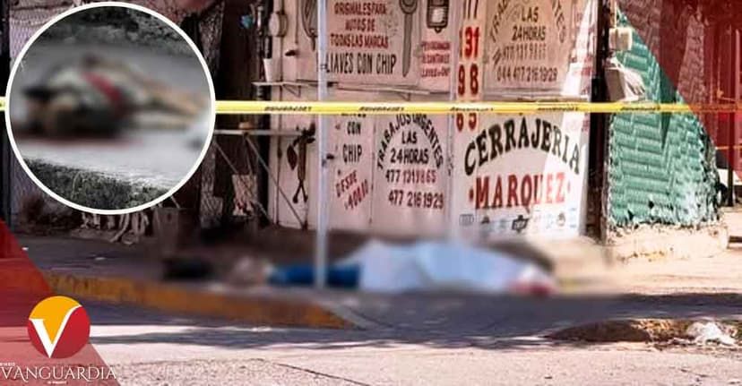 Su perrita lo defendió, pero también termino sin vida, en León, Guanajuato