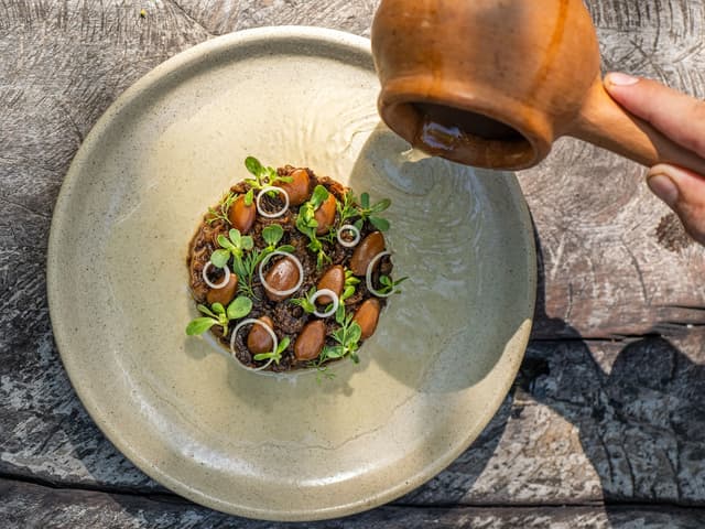 Tulum a bocados: cocina de origen y vanguardia