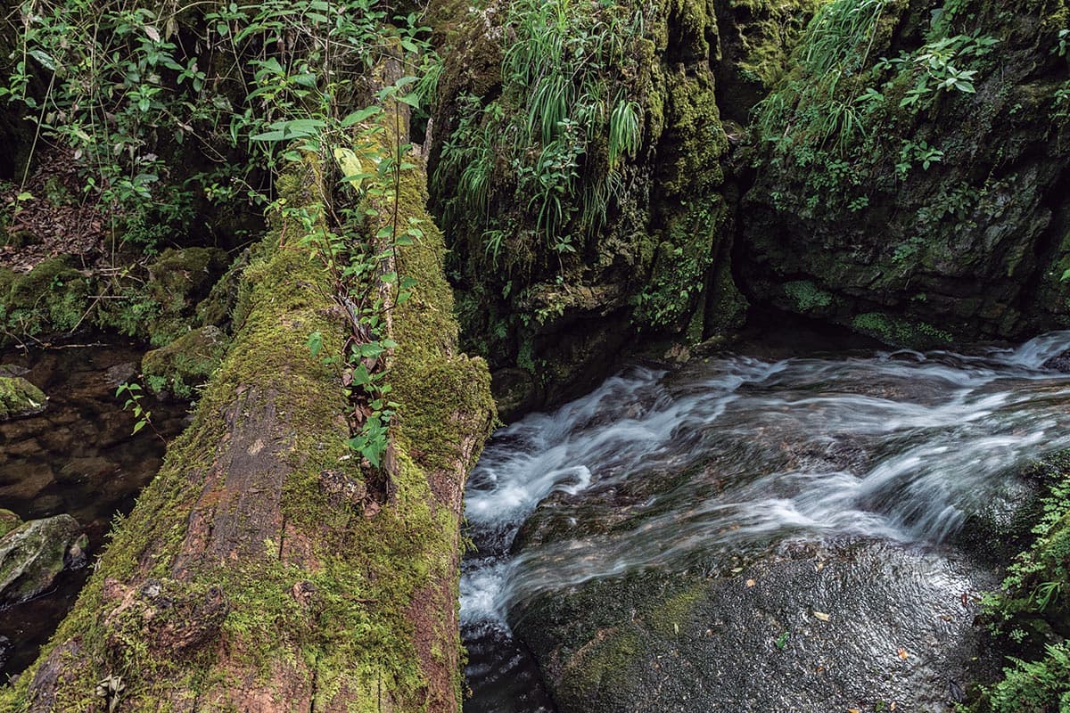 Una ruta por el Ejido San José en Tamaulipas para caminar entre nubes