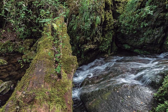 Una ruta por el Ejido San José en Tamaulipas para caminar entre nubes