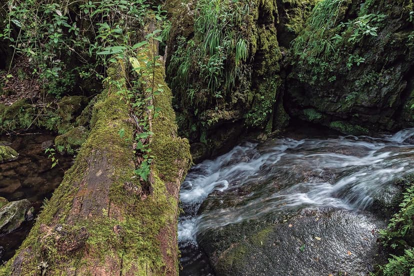 Una ruta por el Ejido San José en Tamaulipas para caminar entre nubes