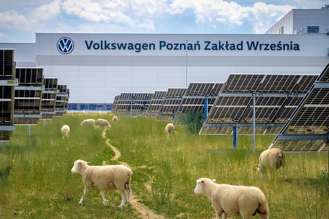 Volkswagen puso a pastar ovejas bajo 31,000 placas solares. Resulta que empezaron a cambiar la forma de producir energía