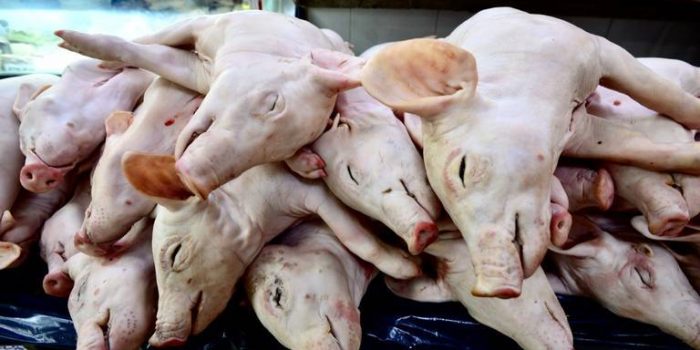 [Fotos] ¡Sin clientes por pandemia! Carne exótica se mosquea en mercado de San Juan julioastillero.com