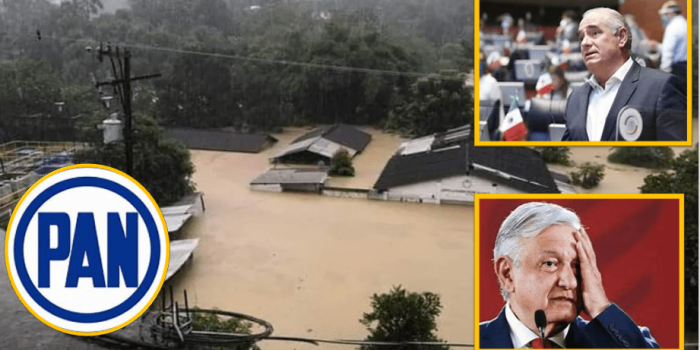 «Que asuma responsabilidades», Senador panista acusa AMLO de inundaciones en Tabasco (Vídeo) – El gato político News
