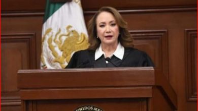 UNAM anuncia despido de asesora de tesis de Ministra Yasmín Esquivel – EL CHAMUCO Y LOS HIJOS DEL AVERNO