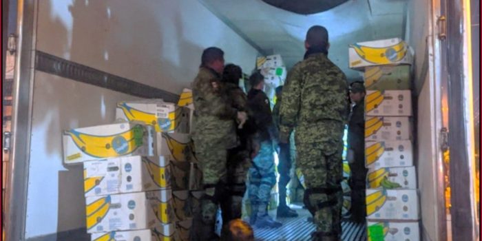 Detienen a una persona y aseguran 400 kilogramos de cocaína en cajas de plátano en Sinaloa – EL CHAMUCO Y LOS HIJOS DEL AVERNO