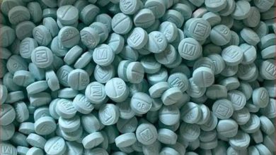 Gabinete de Seguridad viajará a EE.UU. para dialogar sobre tráfico y consumo de fentanilo – EL CHAMUCO Y LOS HIJOS DEL AVERNO