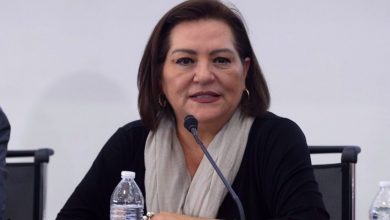 Guadalupe Taddei, consejera presidenta del INE, confirma que ella sí ganará menos que el presidente – EL CHAMUCO Y LOS HIJOS DEL AVERNO