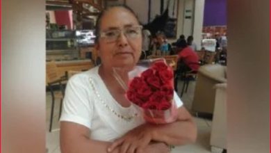 Confirma AMLO detención de una persona por asesinato de Teresa Magueyal, madre buscadora – EL CHAMUCO Y LOS HIJOS DEL AVERNO