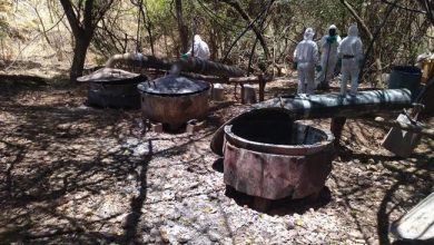 Desmantelan laboratorios clandestinos con más de 6 mil kg de precursores químicos en Durango – EL CHAMUCO Y LOS HIJOS DEL AVERNO