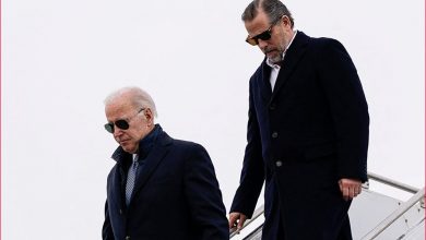 Hijo de Joe Biden se declara culpable de evasión y portación ilegal de armas – EL CHAMUCO Y LOS HIJOS DEL AVERNO