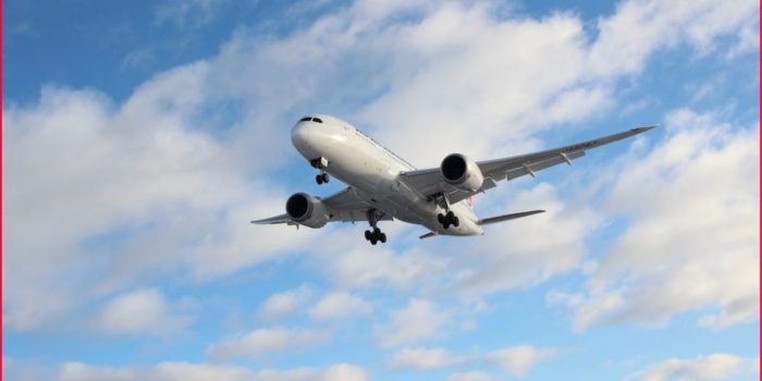 Nueva aerolínea de la Sedena iniciará operaciones en diciembre – EL CHAMUCO Y LOS HIJOS DEL AVERNO