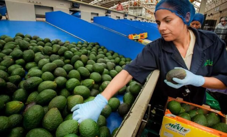 México presenta su nivel más alto de exportaciones agroalimentarias de las últimas tres décadas