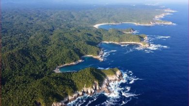Busca AMLO dejar 4.4 millones de hectáreas como Áreas Naturales Protegidas; alistan 22 nuevos decretos – EL CHAMUCO Y LOS HIJOS DEL AVERNO