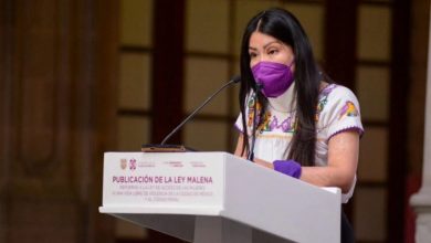 CDMX publica Decreto de “Ley Malena” – EL CHAMUCO Y LOS HIJOS DEL AVERNO