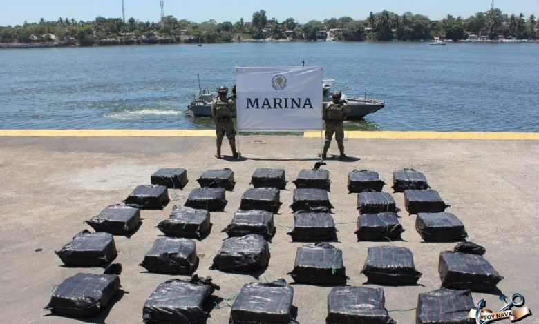 Aseguran dos toneladas de clorhidrato de cocaína en Michoacán – EL CHAMUCO Y LOS HIJOS DEL AVERNO