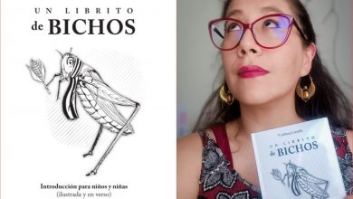 El Complejo Cultural Los Pinos se llenará de insectos con “Un librito de bichos” – EL CHAMUCO Y LOS HIJOS DEL AVERNO