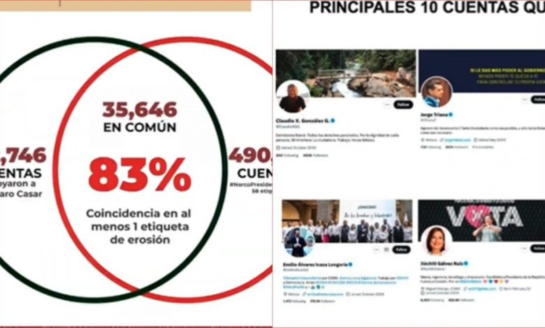 ¿Coincidencia? Más del 80% de las cuentas que defendieron a Amparo Casar participan en campaña #NarcoPresidente